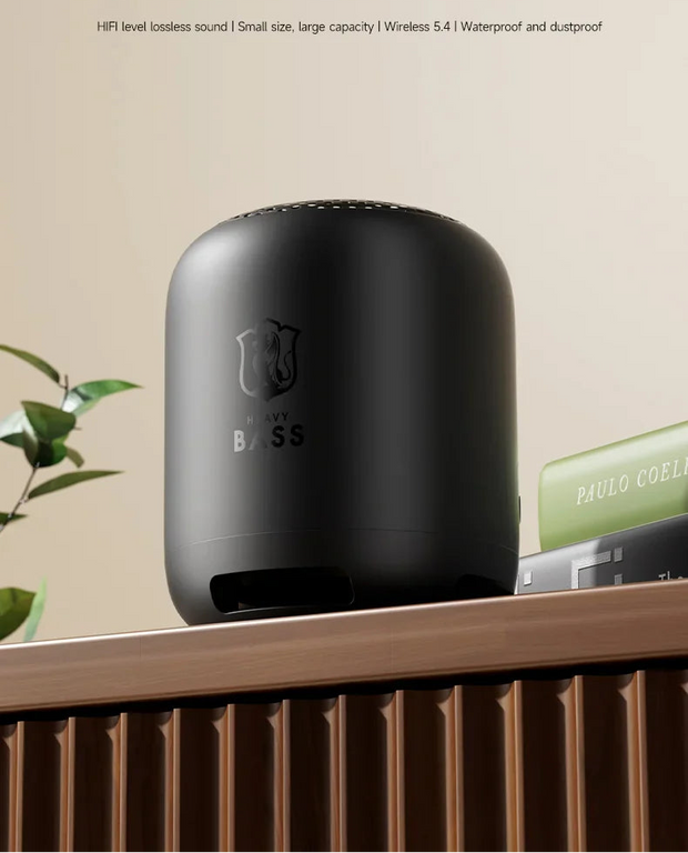 <h2>Bluetooth Speaker</h2>